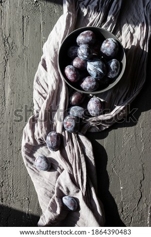 Plums isolated on textured background. Still life photography. Fruit pattern. Dark, moody, minimal photography.