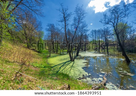 Photos of the pond, source, birch forest. A lake is an area filled with water, localized in a basin surrounded by land, with the exception of any river or other outlet