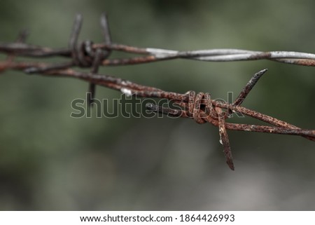 Barbed Wire Rust with blurred background.