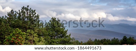 Beautiful gorgeous mountain landscape with pine forest hills and cloudy sky, panorama banner format