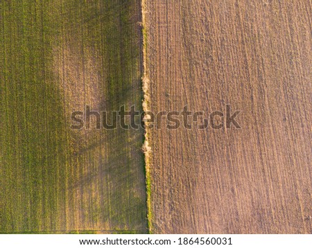 Aerial photo of crop fields sown with cereal.