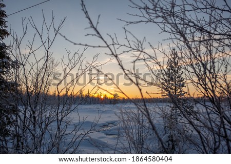 Winter landscape at sunset sunrise through tree branches, Russia, far North.