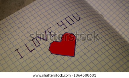 The inscription "I love you" in pen on paper
February 14