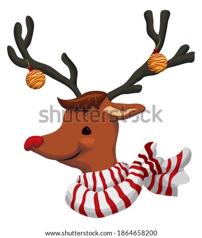 Tender portrait of red-nose reindeer wearing a striped scarf with Xmas balls in its antlers, isolated over white background.