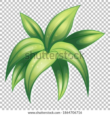 Isolated grass on transparent background illustration