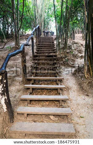Stairway in the bamboo forest