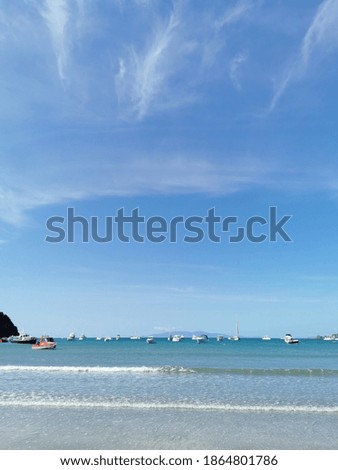 A picture of a New Zealand beach during summer with boats and yachts visible. 