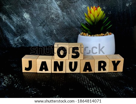 January 5 on a black background on wooden cubes .Next to it is a pot with a flower .Calendar for January .