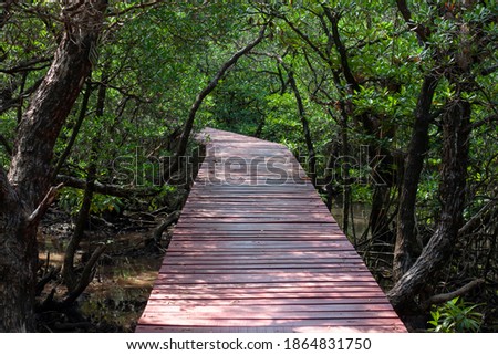 Wooden footpaths in the mangrove forest at Red Bridge Sa-Lak-Phet Baan Na Nai KOH CHANG TRAT.