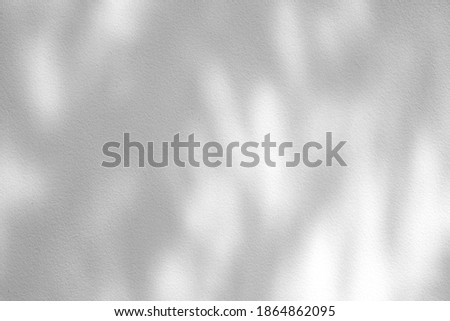 Leaves Shadow on White Cool Concrete Wall Background.