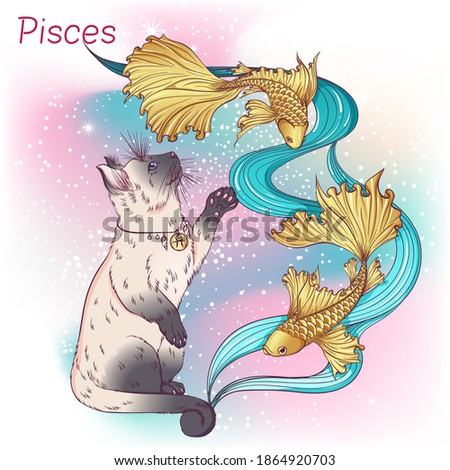 Zodiac. Vector illustration of the astrological sign of Pisces as a Siamese or Thai cat breed standing on two hind legs. Astrological horoscope element. Astrology concept art