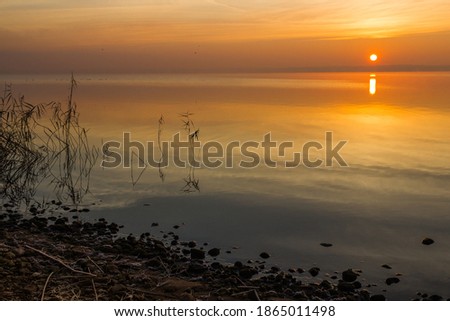 sunrise and sunset on the pond. High quality photo