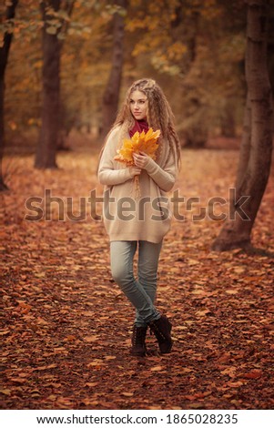 A beautiful girl stands in the autumn forest. She has yellow leaves in her hands. Image with selective focus and toning. Image with noise effects. Focus on the eyes.