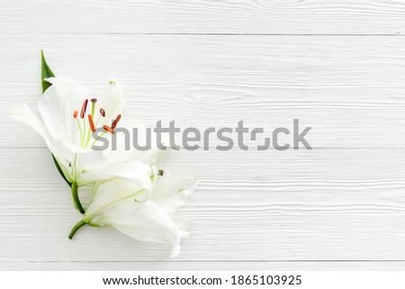 Condolence card with white flowers lily. Funeral symbol Royalty-Free Stock Photo #1865103925
