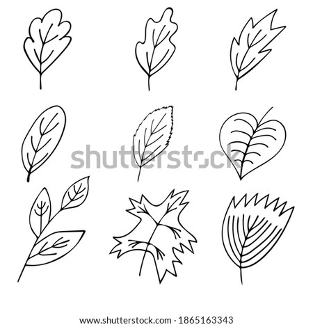 Cute hand drawn set with various leaves isolated on white background.  Doodle vector illustration for greeting card, prints, posters, wedding design and logo.