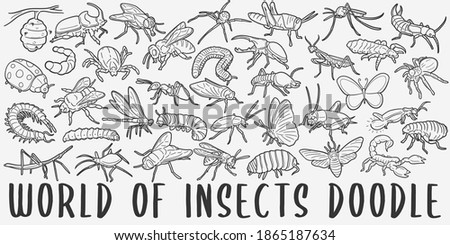World of Insects, doodle icon set. Bugs Style Vector illustration collection. Little Animals Banner Hand drawn Line art style.