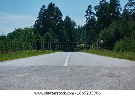 Straight road with asphalt pavement and white markings in the summer forest.