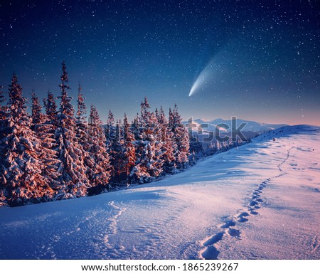 Bright comet above the winter spruces on a frosty night. Location place Carpathian mountains, Ukraine, Europe. Long exposure shot, astrophotography. Photo wallpaper. Discover the beauty of earth.