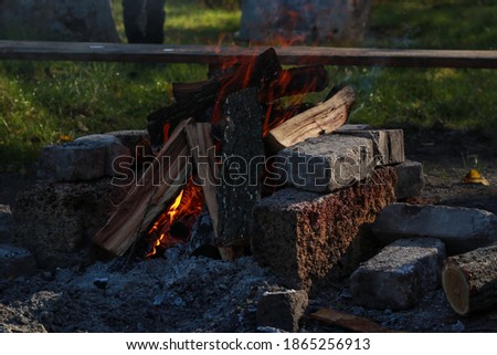 Campfire in the green wood