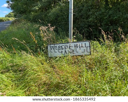 Road sign, surrounded by wild plants and grasses, at the bottom of, Wescoe Hill Lane, Weeton, Harrogate, UK,