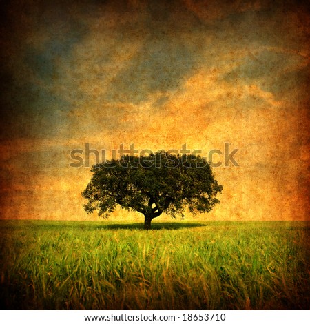 Grunge background with Lonely tree - square format