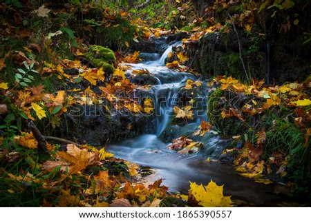 Long exposure small waterfall with the vibrant color autumn leaves