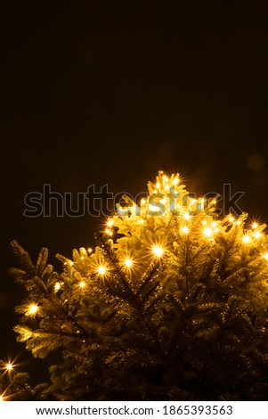 an illustration of a Christmas tree with countless warm, gold, yellow, red lights. This picture can be used as a Christmas card with greetings to relatives and friends.