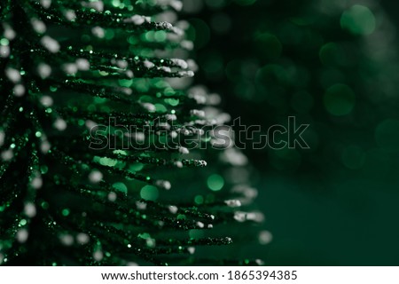 Christmas pine tree abstract concept background with a snow