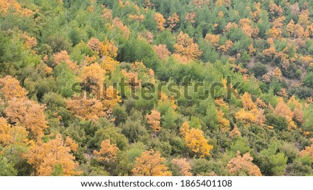 rural areas. Landscape photos in autumn.