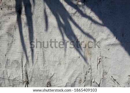 Tropical leaves natural shadow on dirty old vinyl banners background.