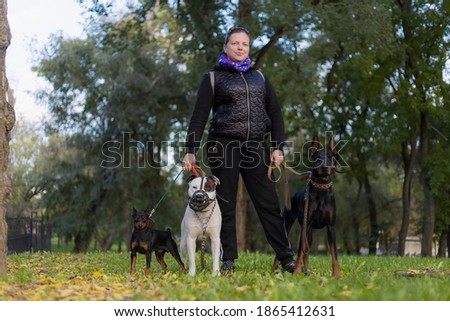 Young woman with dogs on a walk outdoors. Selective focus with blurred background. Shallow depth of field.