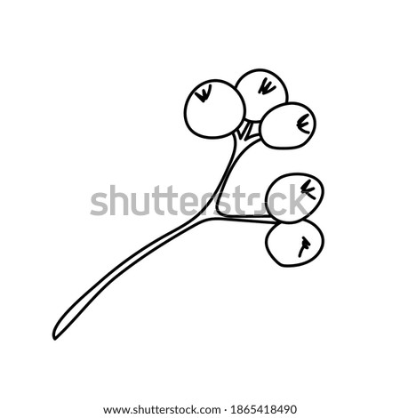 Christmas mistletoe or kisses branch. Xmas home decoration. Element New Year decor and comfort. Isolated vector object on a white background in doodle style