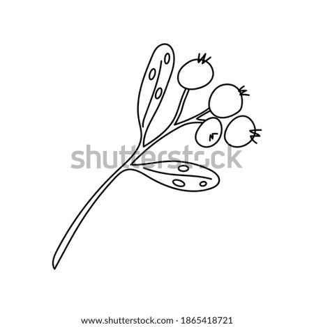 Christmas mistletoe or kisses branch. Xmas home decoration. Element New Year decor and comfort. Isolated vector object on a white background in doodle style