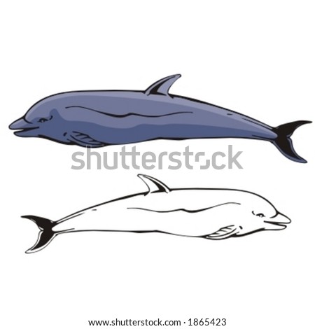 Vector illustration of a dolphin.