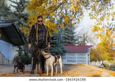 Young woman with dogs on a walk outdoors. Selective focus with blurred background. Shallow depth of field.