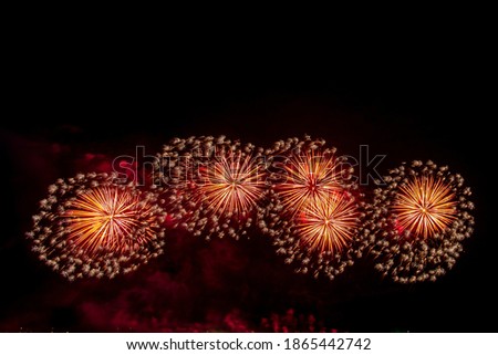 Beautiful multi color fireworks explosions lighting sky over trees silhouette and over an illuminated,colorful fireworks celebration concept