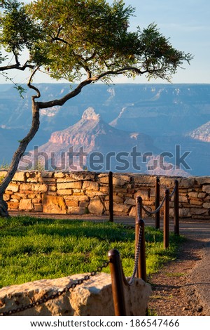 Grand Canyon viewed through from an observation point, Grand Canyon National Park, Arizona, USA