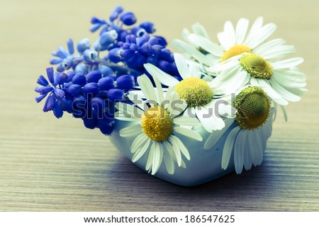 bunch of colorful blue, yellow, white flowers image