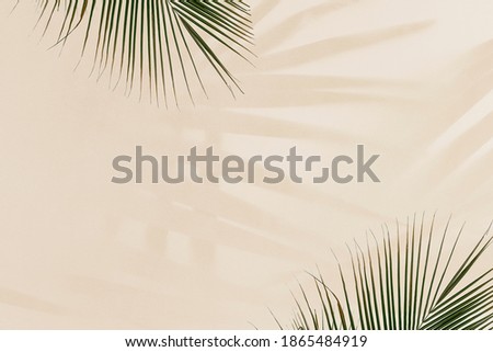 Fresh palm leaves on beige background