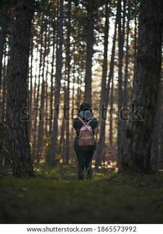 woman standing in pine forest