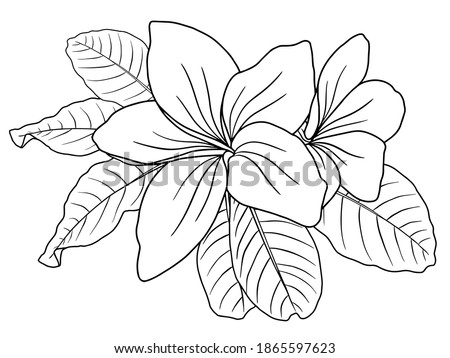 Flower Line Art.  You use on greeting card, frame, shopping bags, wall art, wedding invitation, decorations, and t-shirts
