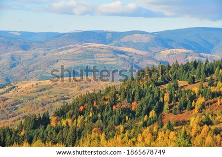 Colorful forests on the slopes of the apuseni mountains, Romania