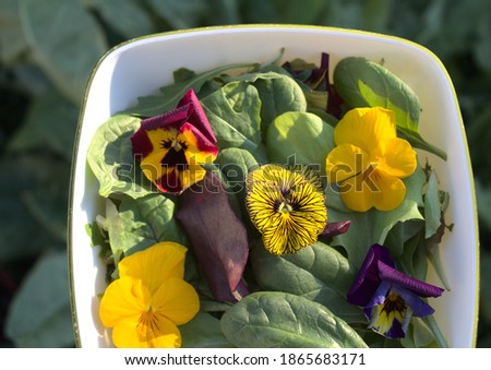 delicious salad with edible blossoms