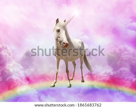 Magic unicorn in beautiful sky with rainbow and fluffy clouds. Fantasy world