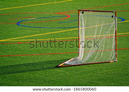 Goal on lacrosse field, net and frame