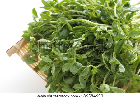 Chinese vegetable, pea sprout on bamboo basket