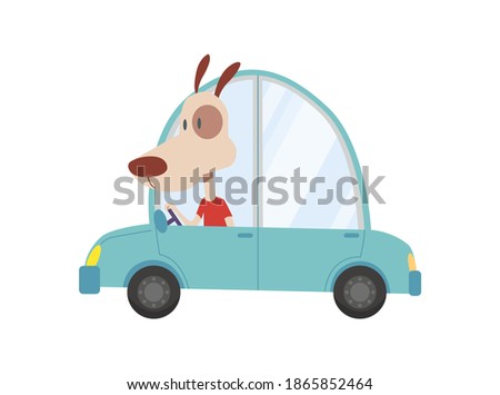 Colored kids transport with cute little dog. Animal driving car. Cartoon animal driver, pets vehicle and happy in funny car. Transportation animal character travel in car