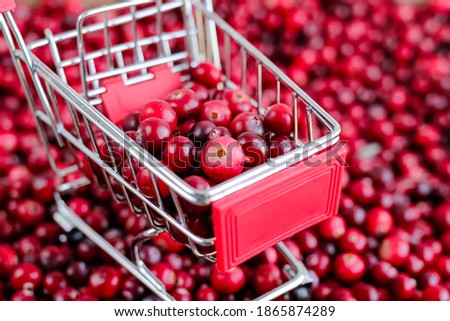 Shopping Trolley with ripe fresh cranberries as natural, food, berries, buying vitamins background. Selective focus.