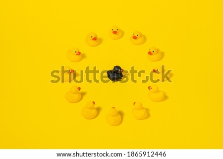 Yellow rubber duck around one black duck in circle. Creative summer concept