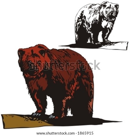 Vector illustration of a bear.